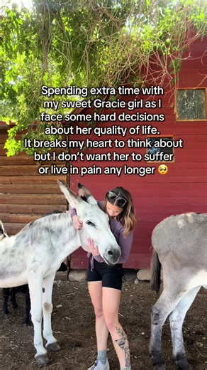 Please send your thoughts and prayers our way. This is incredibly emotional for me. She’s the first donkey I’ve ever had the privilege of loving and caring for.