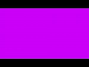 Purple Screen Layar Ungu | Background Ungu | Solid Neon Purple | Purple | Ungu