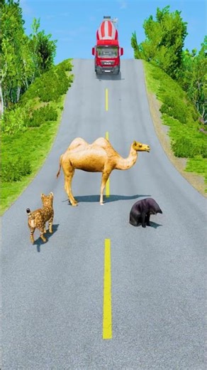 Big & Small Cars & Truck VS Cats & Dromedary Camles - BeamNG.Drive
