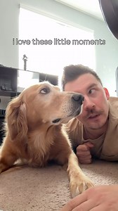 411K views · 36K reactions | It’s not always climbing mountains and swimming in alpine lakes for us. A lot of the time, it’s just hanging out on the floor at home. But the great thing about dogs, is that at the end of the day, they’re happy either way, as long as they’re spending time with you 殺 #goldenretriever #dogdad #dog | adventuringwithnala | Facebook