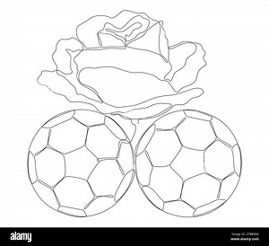 One continuous line of football ball with rose flowers. Thin Line Illustration sport vector concept. Contour Drawing Creative ideas Stock Vector Image & Art - Alamy