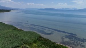 Video. Lake Prespa: What will it take to save one of Europe’s oldest lakes?