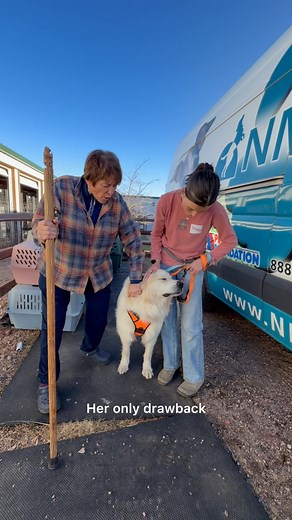 24K views · 1.8K reactions | UPDATE: Chloe has been adopted and is in...