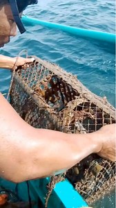 Pangnukostrap squid #fishing | Onggong Cabido Vloggers