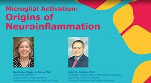 Microglial Activation: Understanding Neuroinflammation’s Origins