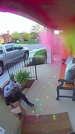 Funny Security Camera Footage – Thief Caught 😂 #instantkarma #stopporchpirates
