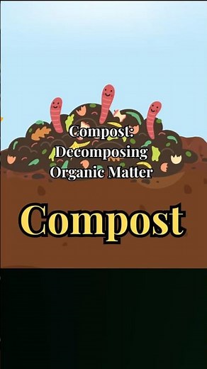 Mulch vs Compost - What's the Difference?