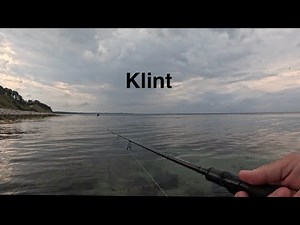 Havørreder og makrel på Klint 👍🎣 #havørred #fishing