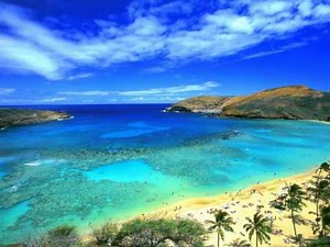 New! Best Chillstep Mix 2012 #3