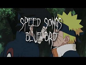 blue bird sped up