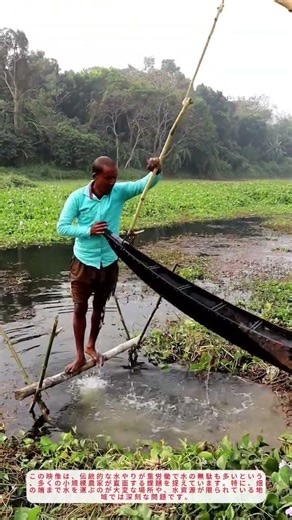 DIY節水農業！驚きの低コスト灌漑装置で農作業を効率化【農業テクニック】