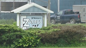 Increased Demand for Milk is Good News for Local Dairy Farm Hit Hard by Pandemic