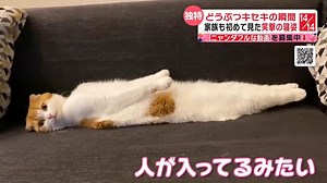 200K views · 668 reactions | 【ドラマチック！　みんなの動画】 視聴者から日本テレビの「投稿ボックス」に届いた、笑いあり、涙ありの投稿動画を大公開。気になるその後も取材しました。 ナレーター名：藤田大介・中島芽生 (2022年9月15日放送「news every.」より) | 日テレNEWS24公式ページ | Facebook