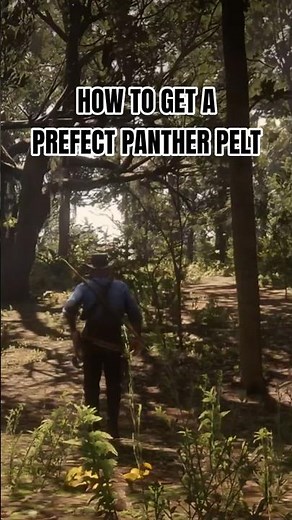 How to easily get a perfect Panther pelt in Red Dead Redemption 2 #rdr2 #shorts #gaming