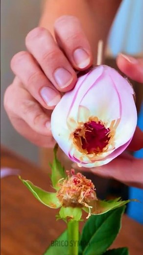 Astuce facile pour créer une jolie fleur 😮🌸