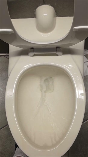 Bone color 1.28 Kingston at Hollywood Studios (Star wars side)