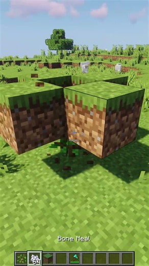 How to grow a big oak in Minecraft 🌳