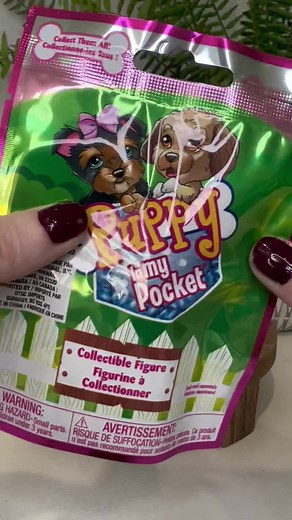 Puppy in my pocket! YEAH! Will we ever finish this series?! @Puppy in my pocket . . . . . . . . #puppy #puppyinmypocket #toyunboxing #openingtoys #toytok #blindbags #blindbagopening #mysterybag