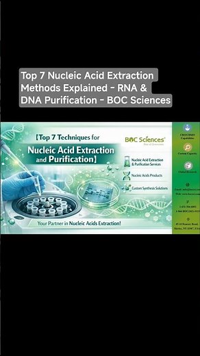 Top 7 Nucleic Acid Extraction Methods Explained - RNA & DNA Purification - BOC Sciences