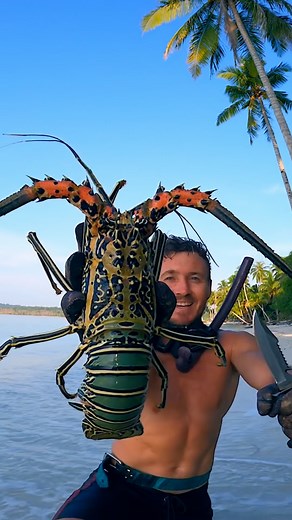 61K views · 698 reactions | Lobster Catch & Cook #fishing #fishingadventure | Cavy Fishing | Facebook
