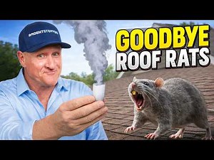 Ultimate Roof Rat Solution, 100% Effective!