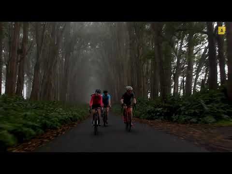 How To Use PR Lotion