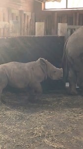 72K views · 3K reactions | Willi ruft, weil er Hunger hat und bei...