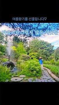 #여름향기 #꽃카라의 감성여행 #시크릿가든 #중경삼림 #koreatravel #travel with emotions #healing #Shorts
