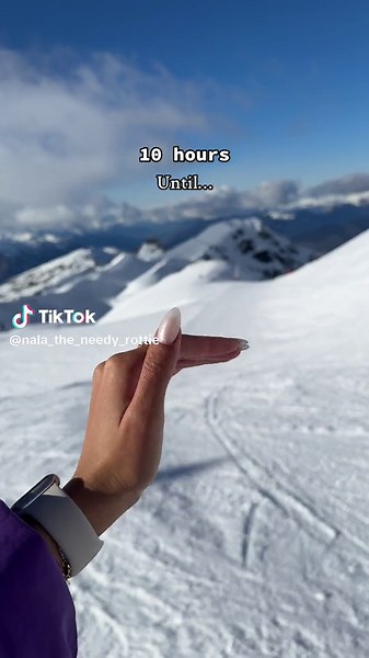 Adorable Rottweiler Puppy Paw Playtime