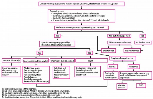Overview of Malabsorption - Gastrointestinal Disorders - Merck Manual Professional Edition