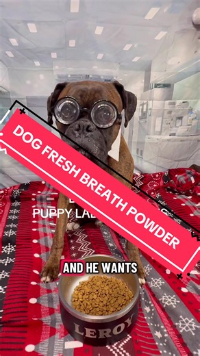 Fresh Breath Powder for Dogs - Keep Your Pup Healthy