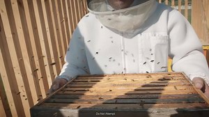 1.5M views · 1.7K reactions | Honey Nut Cheerios. Always made with real honey. | Cheerios | Facebook