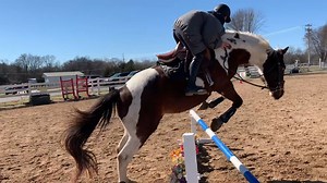 5.9K views · 32 reactions | This was 3 years ago. I promise I know how to ride! video and caption @nash.stablein Make sure to follow us @horsesvideosfails for more fails No hate tolerated!! #horselovers #horsefails #horsefail #horseridingfail #horseridingfails #horses #horseofinstagram #jumping #horsejumping | HorseLovers Fails | Facebook