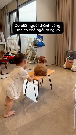 Go: sao anh nói anh là poodle teacup? | Nhà có quá trời con