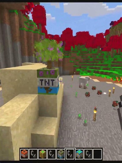 illegal TNT's in Minecraft #minecraft #shorts #fifa