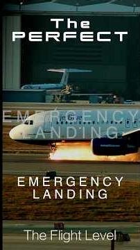 The Perfect Emergency Landing - JetBlue 292