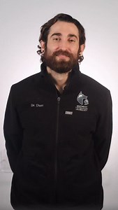 Myelomalacia is one of the most devastating and unpredictable outcomes of a severe spinal cord injury. As Dr. Durr explains, when a dog cannot move its legs or feel its toes (a grade 5 spinal injury), 10–15% of dogs may go on to develop myelomalacia with or without surgery. This condition can occur regardless of successful treatment of the original injury. In French bulldogs, the risk is even higher. Myelomalacia causes progressive softening of the spinal cord, leading to permanent paralysis and