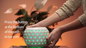 Transform your home or office space with beautiful aromas from fresh...