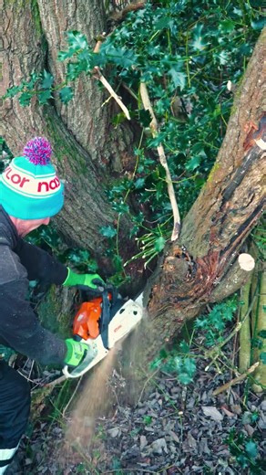 Expert Fence Repair and Installation Services