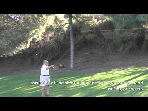 Soon Lee: "Stop" Governs Loop Size And Shape