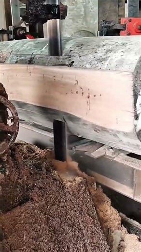 operating a large industrial band saw machine to slice through a thick wooden log in a factory sett
