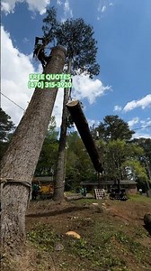 Tree Service