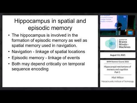 Hippocampal mechanisms of memory and cognition: Part 1