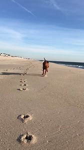 Heading into the weekend... | Dana Perino