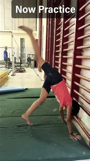 Handstand Progression for Beginners 🤸 | Step-by-Step Training