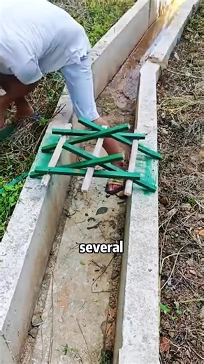 Stability of the Triangle#knowledge #learn #study #shorts #science #knowledge | ShareLift