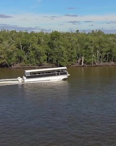 Everglades National Park is home to an incredible variety of wildlife, including manatees, sea turtles, dolphins, and birds. Book today for a truly unforgettable experience! | Everglades National Park Adventures