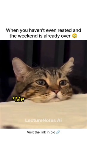 LectureNotes AI | Download LectureNotes AI so your notes stay on track even when your weekend disappears faster than your rest time Stay ready for Monday... | Instagram