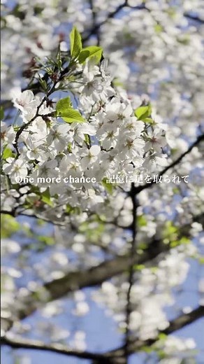 One more time, One more chance / 山崎まさよし
