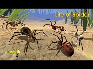 Spider Simulator Part 2